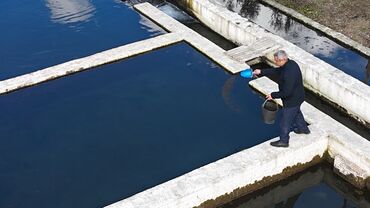 Torpaq sahələrinin satışı: 300 sot, Kənd təsərrüfatı, Mülkiyyətçi, Texniki pasport, Kupça (Çıxarış) — 6