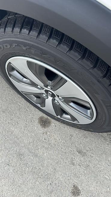 k5 гибрит: Kia Niro: 2019 г., 1.6 л, Робот, Гибрид, Кроссовер — 2
