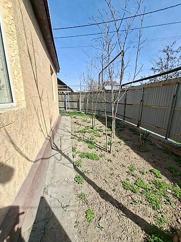 Продажа коттеджей и домов: Продается!!! Дом в г. Бишкек( бывшее с. Маевка), из жженного — 30