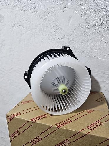 blow: Электродвигатель вентилятора печки (blower motor) Toyota RAV4— — 2