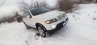 BMW: BMW X5 M: 2005 г., 4.4 л, Автомат, Бензин, Внедорожник — 3