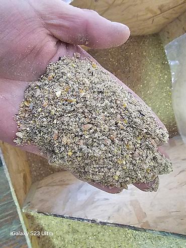 Эспарцет: Эспарцет [тюп район ],кара беде урону [кара балтаныкы — 12