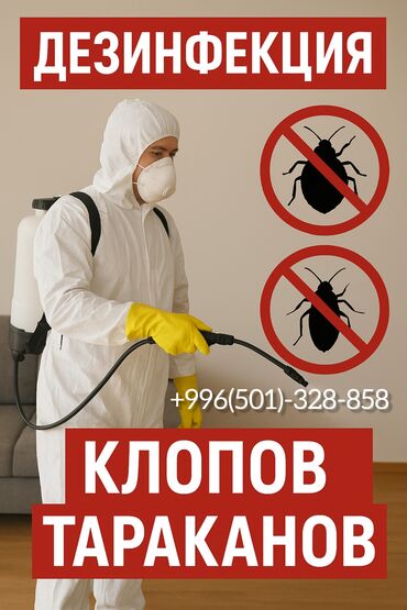 цены на строительные работы в бишкеке 2023 год: Профессиональная дезинсекция от клопов и тараканов. - Обработка