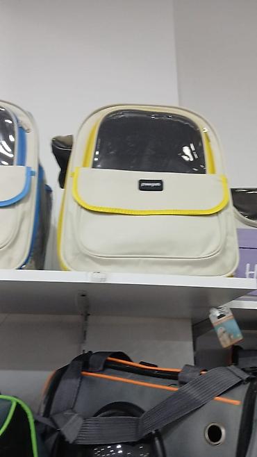 Pişiklər: Erkək, Pulsuz çatdırılma — 9