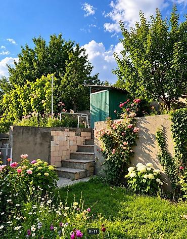 детский сад ак босого: 4 бөлмө, 40 м², 5 соток, Электр энергиясы, Муздак суу — 3