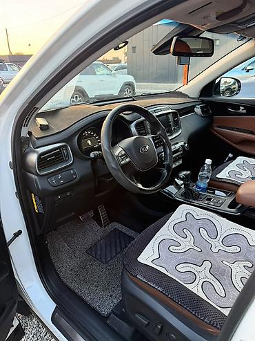 под спада боковой дверь: Kia Sorento: 2018 г., 2.2 л, Автомат, Дизель, Внедорожник — 10