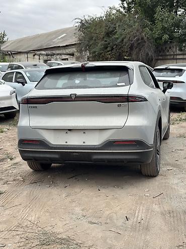 byd e9 1: Changan : 2026 г., Автомат — 10