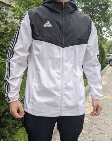 пуховик пума мужской: Абсолютно новая мужская ветровка Adidas с капюшоном. Из США - Цвет
