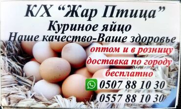 Молочные продукты и яйца: Птицефабрика «Жар Птица» Отправка во все регионы Кыргызстана! Куриные