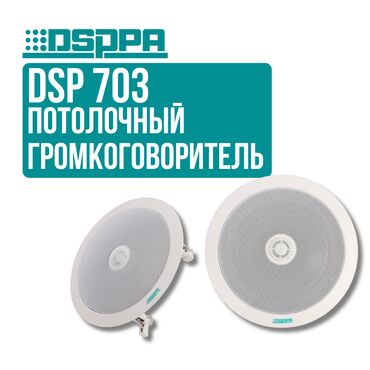 учебный центр ош: Потолочный громкоговоритель DSPPA DSP-703 – четкая передача речи и