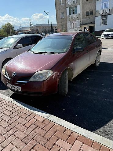 степ эреф 1: Nissan Primera: 2003 г., 1.8 л, Кол менен иштөөчү, Бензин, Седан — 7