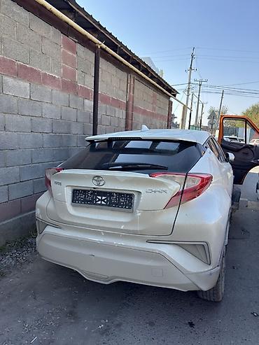 byd e2 отзывы: Toyota C‑HR, белый перламутр. Кузов хэтчбек/crossover. Особенности и — 1