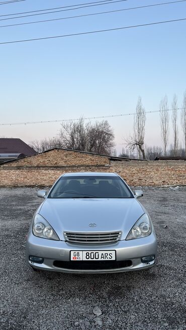 мухабойка тойота: Toyota Windom: 2002 г., 3 л, Автомат, Газ, Седан