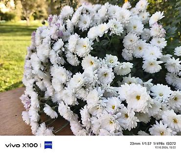 Техника и электроника: Смартфон vivo X100 (белый) - Камеры с оптикой ZEISS и покрытием T* — 7