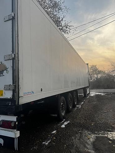 Тягачи: Тягач, DAF, 2007 г., Без прицепа — 12