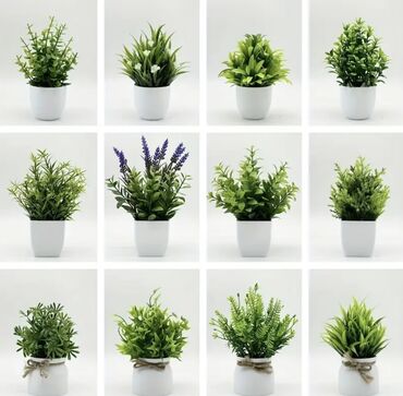 Süni güllər: 🌸 İstədiyiniz dibçəyi, istədiyiniz ölçüdə yığırıq! 🏡 Evlər, ofislər -da lalafo.az — 4 Süni güllər: 🌸 İstədiyiniz dibçəyi, istədiyiniz ölçüdə yığırıq! 🏡 Evlər, ofislər — 4