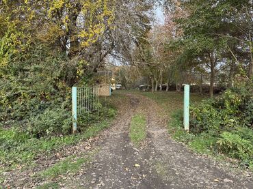 Kommersiya daşınmaz əmlakının satışı: Təcili satılır 28-sot (KUPCA CIXARIŞ TEXNİKİ PASPORT DAİMİ MÜLKİYƏT -da lalafo.az — 19 Kommersiya daşınmaz əmlakının satışı: Təcili satılır 28-sot (KUPCA CIXARIŞ TEXNİKİ PASPORT DAİMİ MÜLKİYƏT — 19