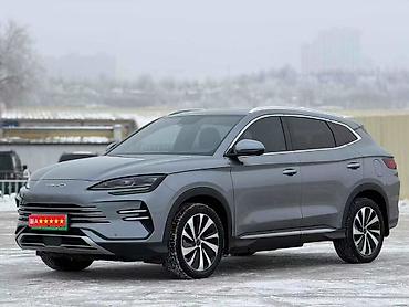 BYD: BYD Destroyer 05: 2024 г., Кроссовер — 9