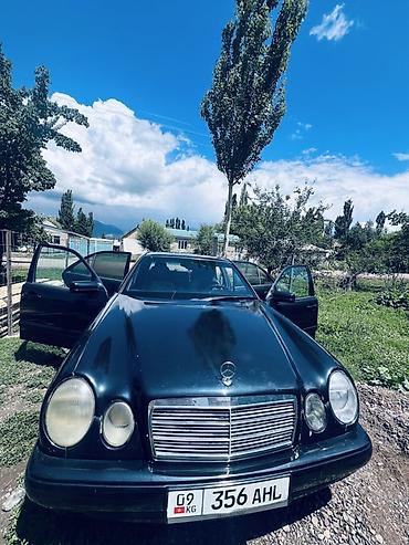 химия авто: Mercedes-Benz E-Class: 1995 г., 2.3 л, Автомат, Газ, Седан — 1