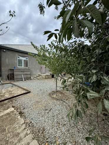 Həyət evləri və villaların satışı: Qobu Teze Mescid terefde esas yola 20 metir Paket Kupcali hazir koc -da lalafo.az — 5 Həyət evləri və villaların satışı: Qobu Teze Mescid terefde esas yola 20 metir Paket Kupcali hazir koc — 5