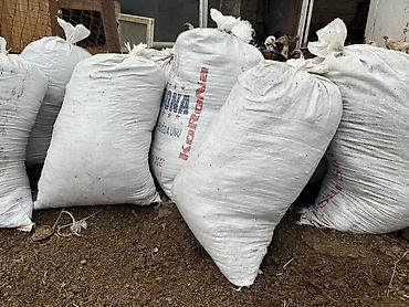 quru xlor satisi: Mal peyinidi quru setkadan keçirilmişdi zil zibil deyil təmiz peyindi — 2