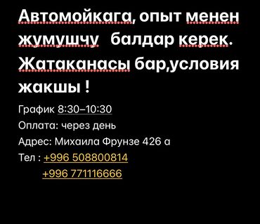 Автомойщики: Требуется Автомойщик, Оплата Ежедневно, Менее года опыта