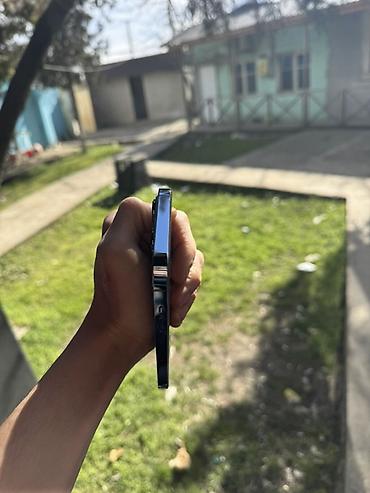 Apple iPhone: IPhone 13 Pro, 256 GB, Sierra Blue, Face ID — 6