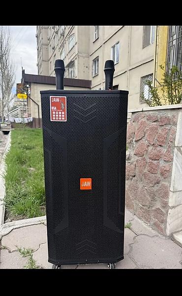 hoco eq34 plus: Аренда колонки 999 в сутки эки микрофону менен — 1