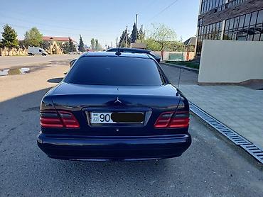 Mercedes-Benz: Mercedes-Benz E-Class: 2.2 l | 2000 il Sedan — 7