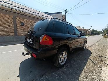 small car: Hyundai Santa Fe: 2003 г., 2 л, Механика, Дизель, Кроссовер — 6