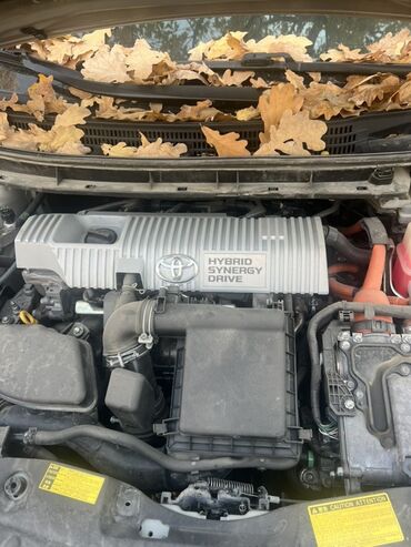 чехол на приус: Toyota Prius: 2010 г., Гибрид, Хетчбек