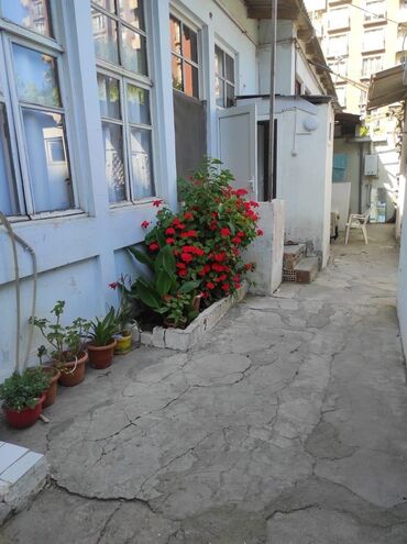 Uzunmüddətli kirayə evlər: 2 otaqlı mənzil – həyət evi tipli - Daxili plan: bir otaq — 4