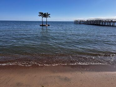 Иссык-Куль 2025: Коттедж, Палм Бич ЦО Palm Beach, Чок-Тал, Барбекю, Баскетбольная площадка, Батут — 33