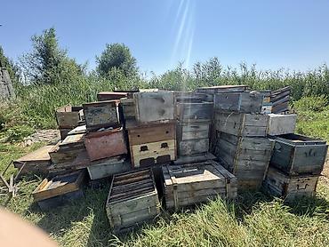 пчел: Деревянный Ящик, Б/у — 1