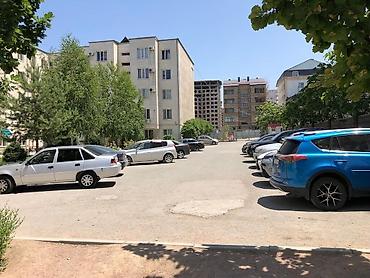 Продажа квартир: 2 комнаты, 53 м², Элитка, 2 этаж, Косметический ремонт — 15