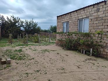 berde torpaq satilir: 6 sot, Kənd təsərrüfatı, Bələdiyyə — 3