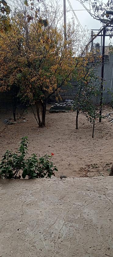 yeni güneşlide: 2 sot, Kənd təsərrüfatı, Mülkiyyətçi, Kupça (Çıxarış) — 1