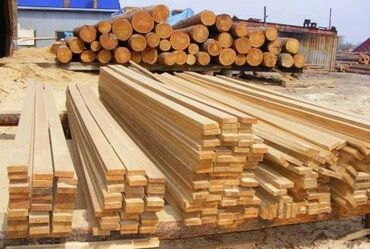 туалетная бумага оптом от производителя в бишкек: Береза, Хвоя, Лиственница