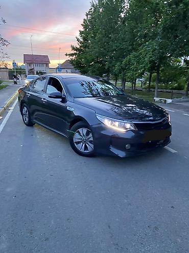 хищник морда к5: Kia K5: 2017 г., 2 л, Автомат, Гибрид, Седан — 1