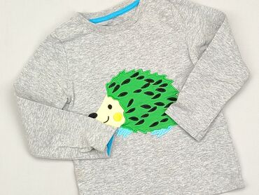 koszula na bluze: Sweatshirt, 3-4 years, 98-104 cm, condition - Good