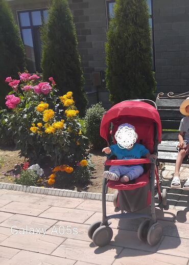 прогулочная коляска peg perego: Балдар арабасы
