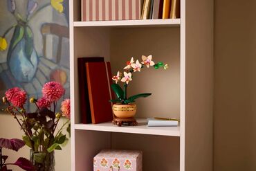 Игрушки: Lego Botanical Collection 10343 Мини Орхидея🏵️ Новинка 2025!247 at lalafo.kg — 7 Игрушки: Lego Botanical Collection 10343 Мини Орхидея🏵️ Новинка 2025!247 — 7