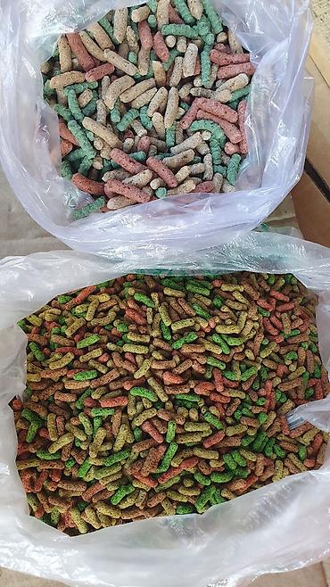 С/х животные и товары: Корм карп кои для золотой рыба и разне рыба 1 кг 3000 сом плавише — 2