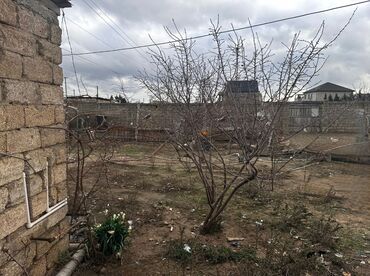 xetai metrosu evler: Bakı, Mərdəkan, 75 kv. m, 2 otaqlı, Hovuzsuz, Qaz, İşıq, Su