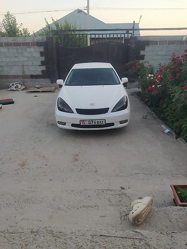 воздушные подушки: Toyota Windom: 2002 г., 3 л, Автомат, Газ, Седан — 4