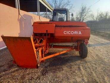 traktor belarus: Cicorya super piresdi hec bir pirablemi yoxdu otu surdu her weyi