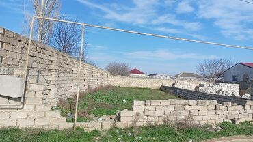 qaz sobasi ve qiymeti: Meşdağda kanal üsdü saxa 600 metrir iceri 2.5 sot sotu 4.400 Seneti
