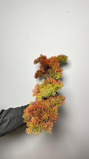 Süni güllər: Süni bonsai ağacı – dekorativ içməkan yaşıllaşdırma üçün - Realistik — 13