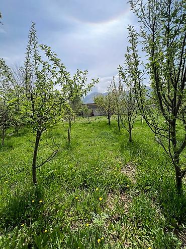 Продажа участков: 13 соток, Красная книга, Договор купли-продажи — 7