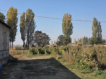 уч: 850 соток, Курулуш, Кызыл китеп — 3